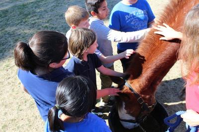 Mesa Arts Academy No Better Place To Learn