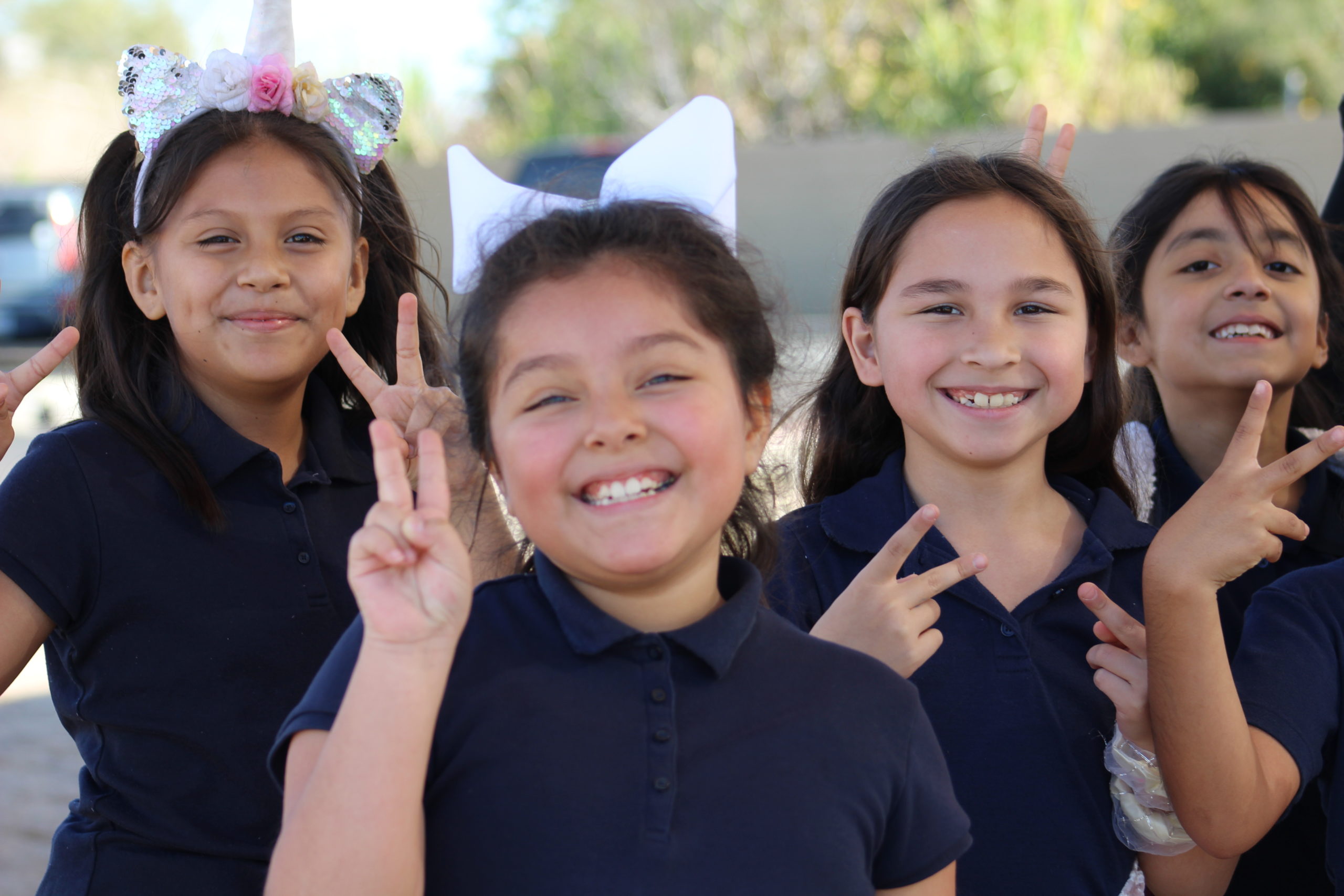 Values Mesa Arts Academy